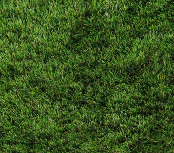 CADIZ  40MM GRASS