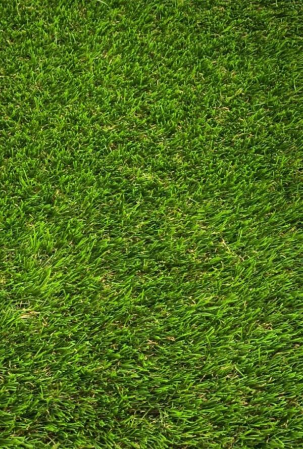 RIO PLUS 40MM GRASS